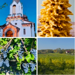 Wycieczka z Warszawy Nadbużańskie smaki z winnicą Ostatkowe nadbużańskie smaki z degustacją wina w winnicy. TERMIN: 29.11.2015 (sobota)