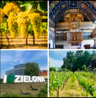 Lubuskie- Kraina wina, Park Mużakowski i szlak kościołów drewnianych regionu Kozła TERMIN: 08.05-10.05.2026