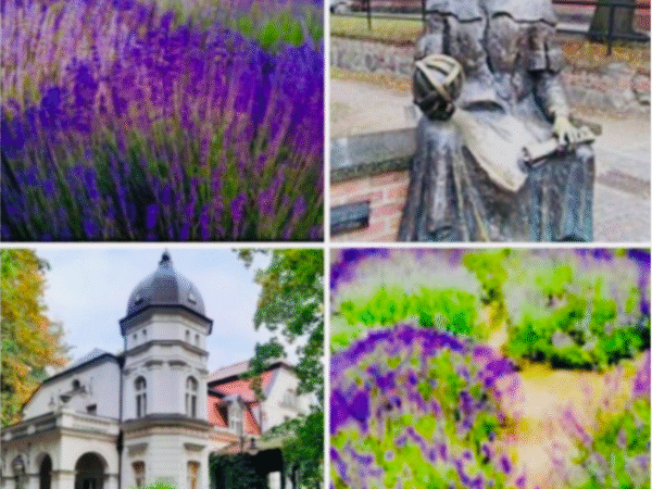 Warmińska Prowansja i Muzeum Przyrody w Olsztynie TERMIN 11.07.2026