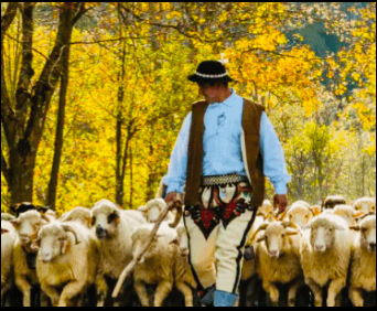 Pieniny- Jesienny Redyk w Szczawnicy TERMIN : 09.10-11.10.2026 - 3 dni