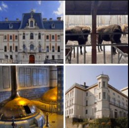 Wycieczka z Warszawy na Górny Śląsk Pszczyna Górny Śląsk cz.1 - Pszczyna, Bielsko Biała i Tychy TERMIN 01.05-02.05.2026- 2 dni