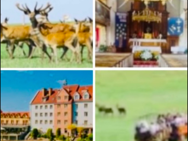 Zoo Safari na Mazurach TERMIN 31.05.2026 ( niedziela)