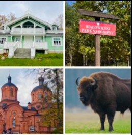Wycieczka z Warszawy do Białowieży Białowieża i spotkanie z żubrami TERMIN 09.08.2026 ( niedziela)