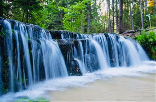 Szumy na Tanwi wycieczka z Warszawy Jesień na Roztoczu- Szumy na Tanwi i winnica z degustacją wina TERMIN 03.10.2026 (sobota)