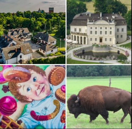 Wycieczka z Warszawy Wielkanoc Wielkanoc w Sandomierzu, Radom i Safari Bizon w Kurozwękach ze zwiedzaniem Browaru Popiel TERMIN : 04-06.04.2026 - 3 dni