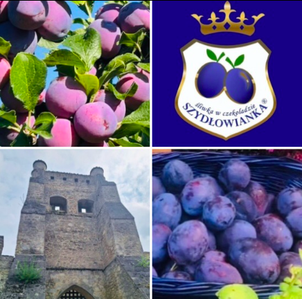 Śliwkorwanie i Święto Śliwki w Szydłowie TERMIN 09.08.2026 (niedziela)