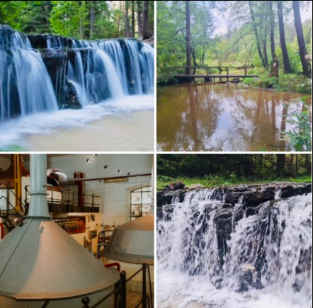 Jesień na Roztoczu Szumy na Tanwi i browar TERMIN 03.10.2026 (sobota)