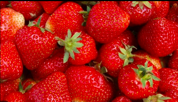 Dzień świętokrzyskiej truskawki i jarmark agroturystyczny TERMIN 07.06.2026 ( niedziela)