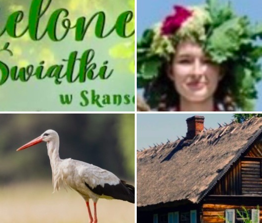 Zielone Świątki i spotkanie z bocianami  TERMIN 24.05.2026