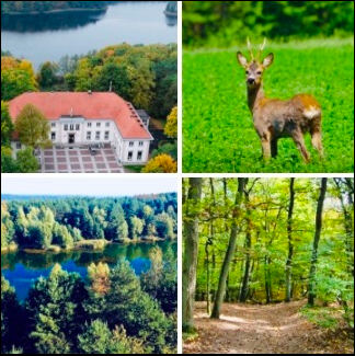Wielkopolski Park Narodowy TERMIN 27.09.2026 (niedziela)